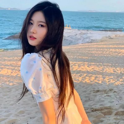 多瑙河行动
